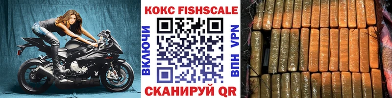 Кокаин FishScale  Снежногорск 