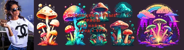 дмт Балахна