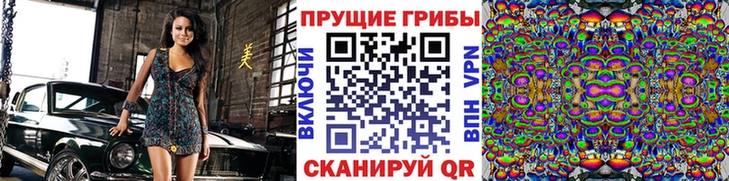 Галлюциногенные грибы прущие грибы  Снежногорск 