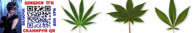 кракен как войти  Снежногорск  Бошки марихуана LSD WEED 
